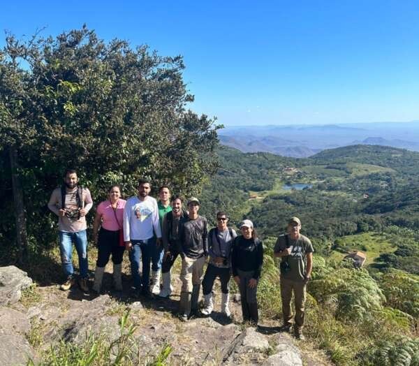 Espécies raras de ave e plantas são encontradas no Parque Estadual do Pico Alto