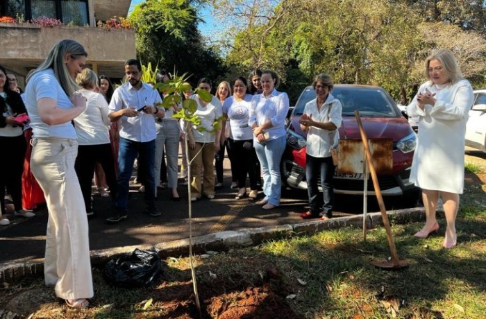“Agosto Dourado”: SES dá início às ações de incentivo à amamentação com o plantio de muda de Ipê Branco