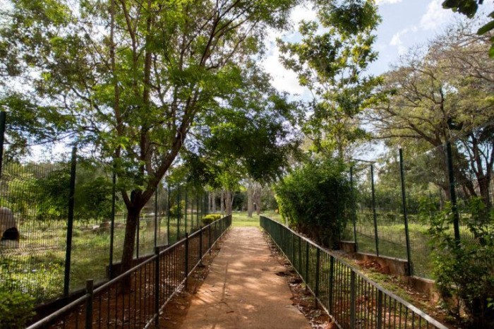 Grupo de trabalho vai elaborar Plano de Sustentabilidade do Zoológico