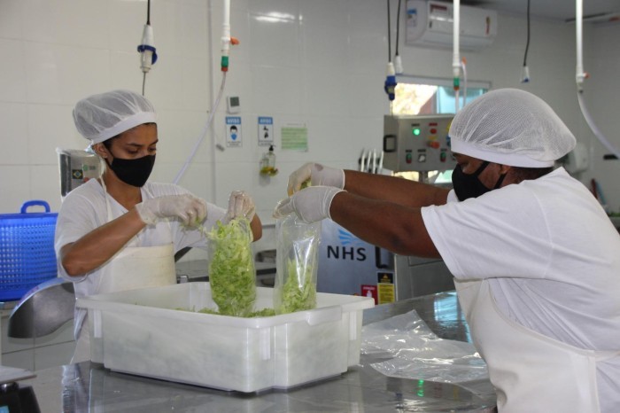 Curso gratuito ensinará boas práticas na pequena agroindústria rural