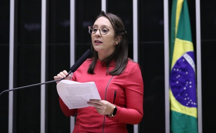 Renata Abreu, relatora do projeto - (Foto: Bruno Spada/Câmara dos Deputados)