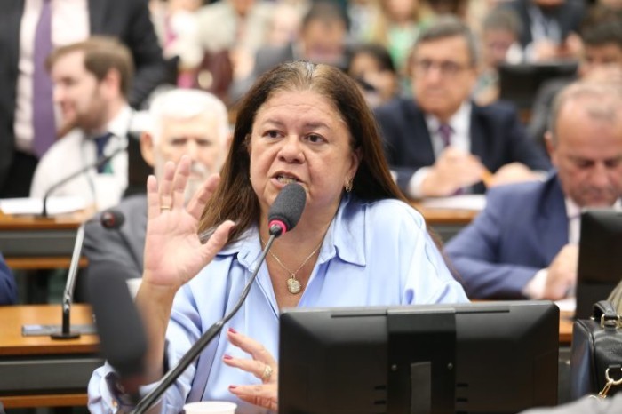 Laura Carneiro, relatora da proposta - (Foto: Billy Boss/Câmara dos Deputados)