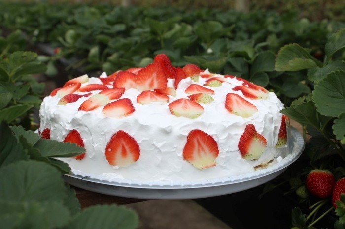 Festa do Morango vai ter mais de 30 mil fatias de torta