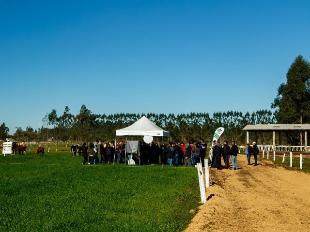 Epagri promove Dia de Campo sobre pecuária leiteira em Santa Rosa do Sul, nesta quinta, 3