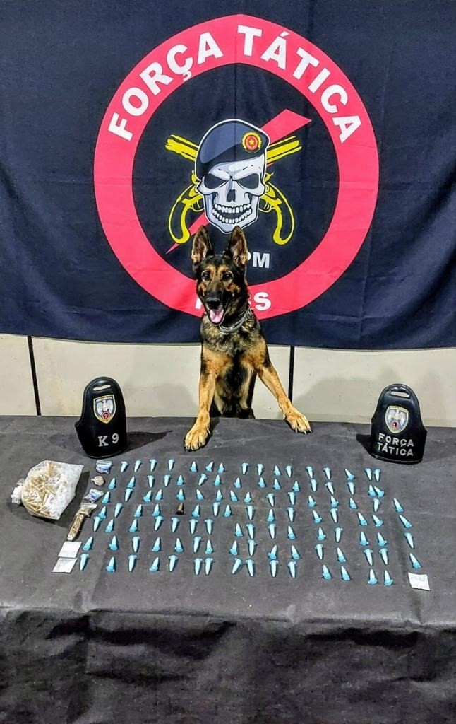 Foto: Reprodução/Polícia Militar - ES