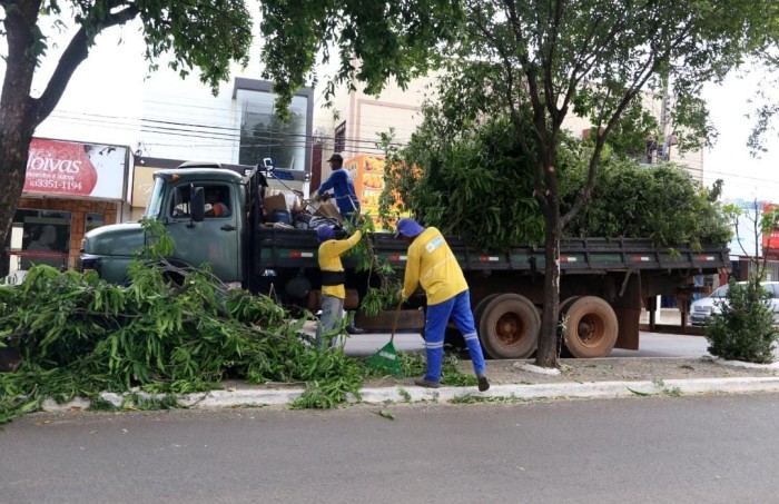 Cooperativa de trabalhadores assume gestão de resíduos sustentáveis em Gurupi