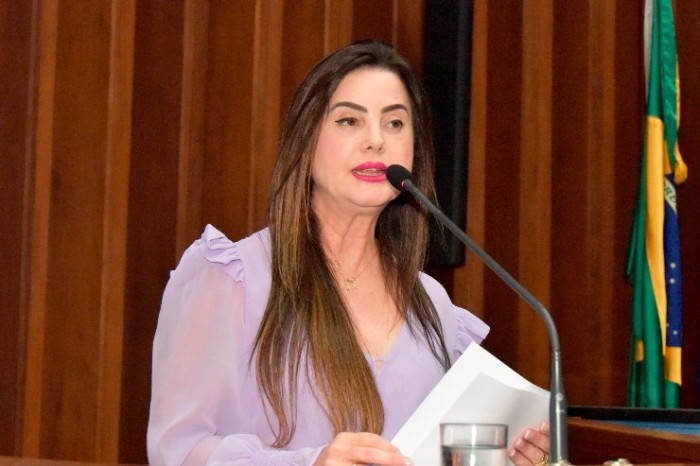 Agosto Lilás: Projeto propõe criação da Procuradoria Especial da Mulher na ALEMS