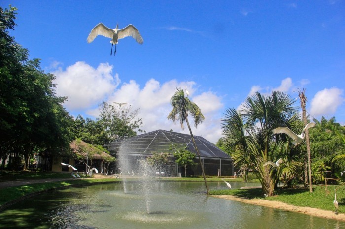 Crédito: Marcelo Seabra / Ag. Pará