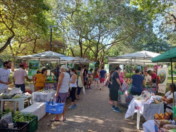 Feira agroecológica do Cocó consolida aumento do consumo de alimentos orgânicos