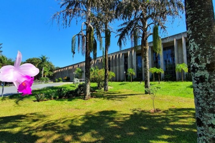 Agenda: Sessão solene, reuniões e sessões plenárias marcam semana na ALEMS 