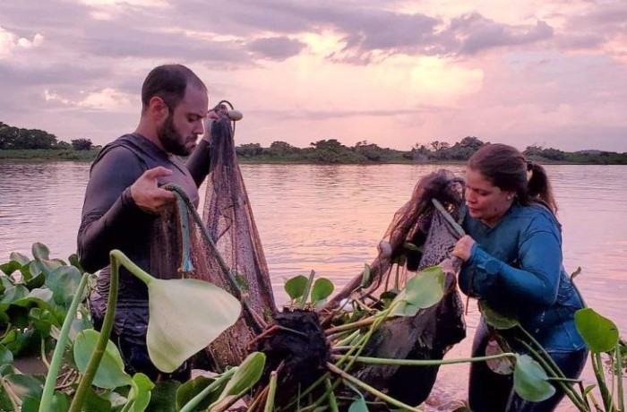 Pantanal é o bioma brasileiro que mais preserva espécies da fauna silvestre, mostra estudo do ICMBio