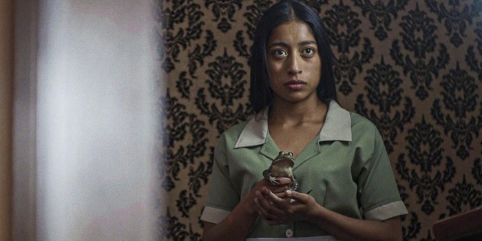 Funcultura: Cineclube El Caracol finaliza temporada com filme, culinária e música