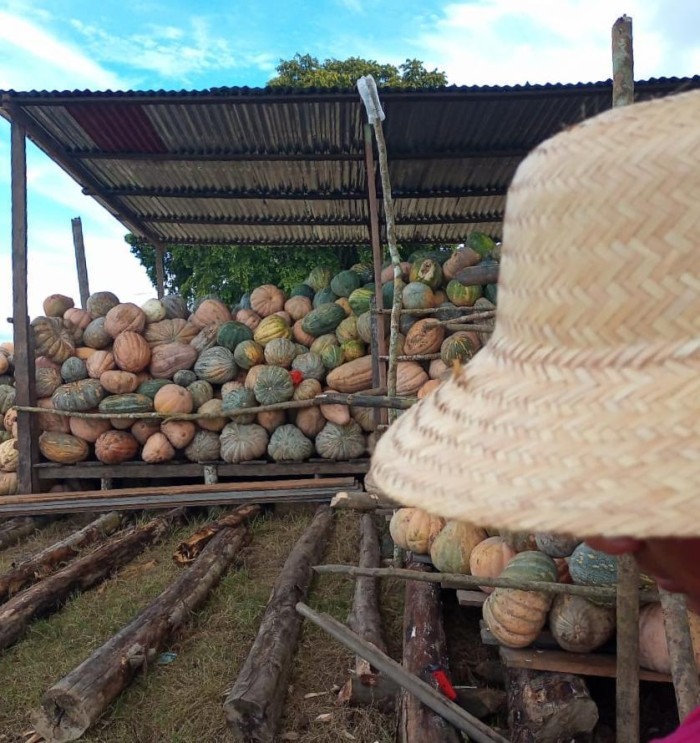 ADS escoa mais de 500 toneladas de produtos regionais pelo Programa Balcão de Agronegócios