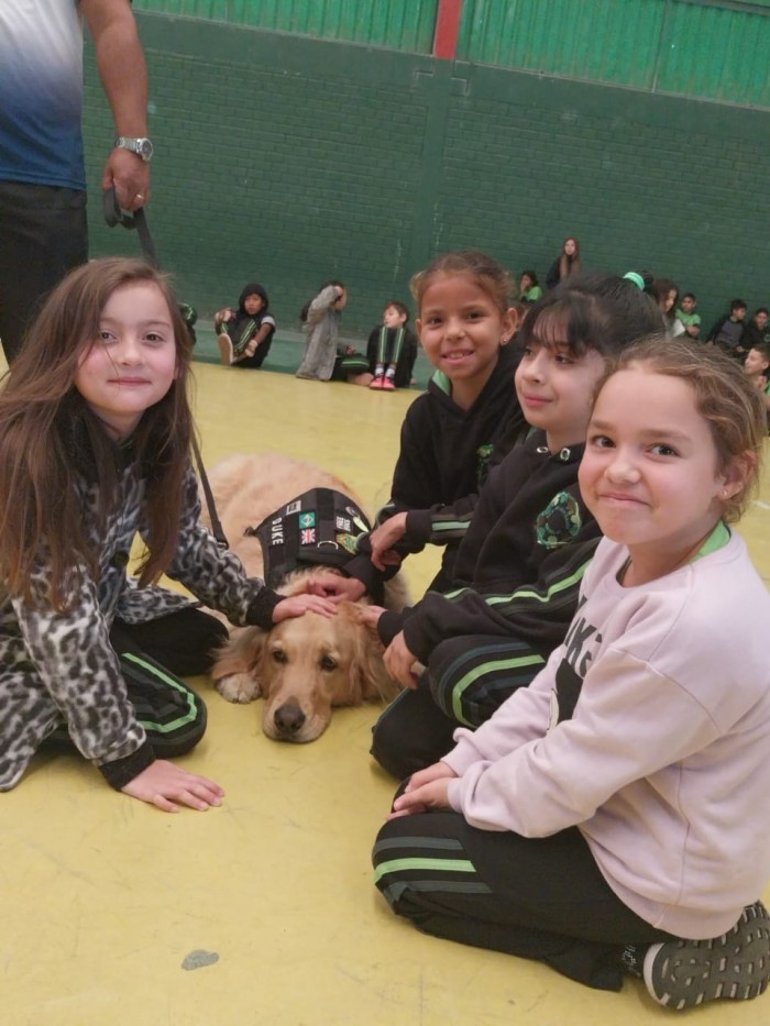 Estudantes de Mafra são recepcionados por cão Golden Retriever na volta às aulas