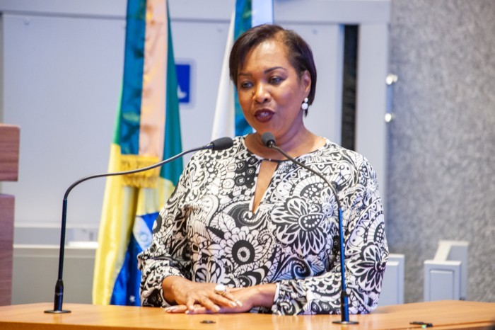 Foto: Renan Lisboa (estagiário)/ Agência CLDF