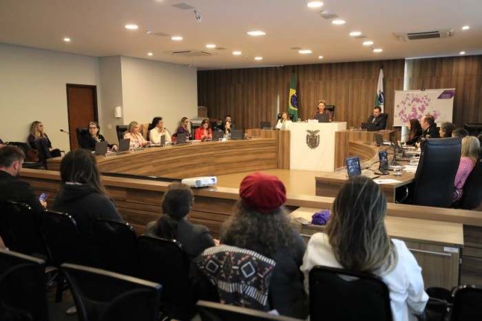 Audiência pública debate o papel das instituições no combate à violência de gênero
