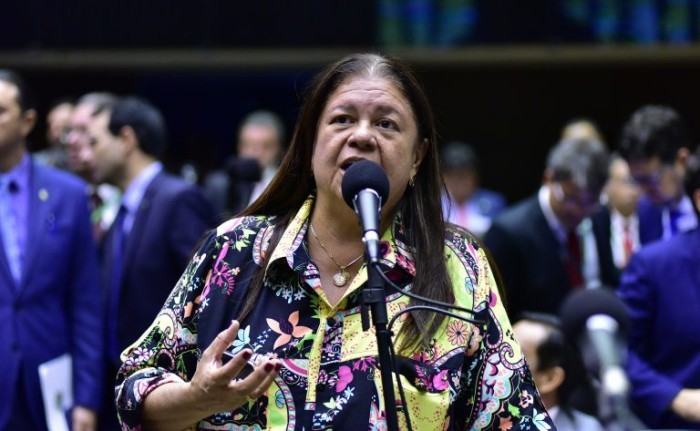 A relatora, deputada Laura Carneiro, recomendou a aprovação da proposta - (Foto: Zeca Ribeiro/Câmara dos Deputados)