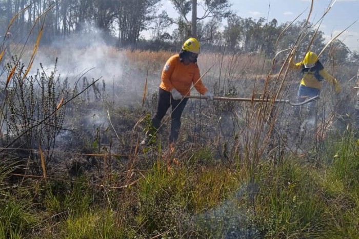 Foto: Reprodução/Secom Paraná