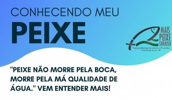 Foto: Reprodução/Prefeitura de Sorriso - MT