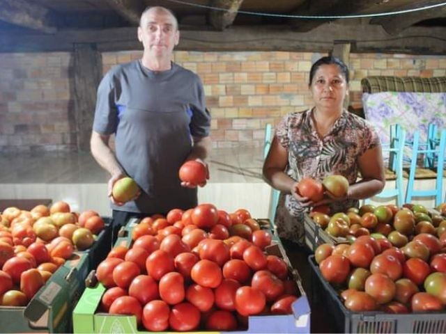 Família de Santiago do Sul troca produção de fumo por tomates orgânicos