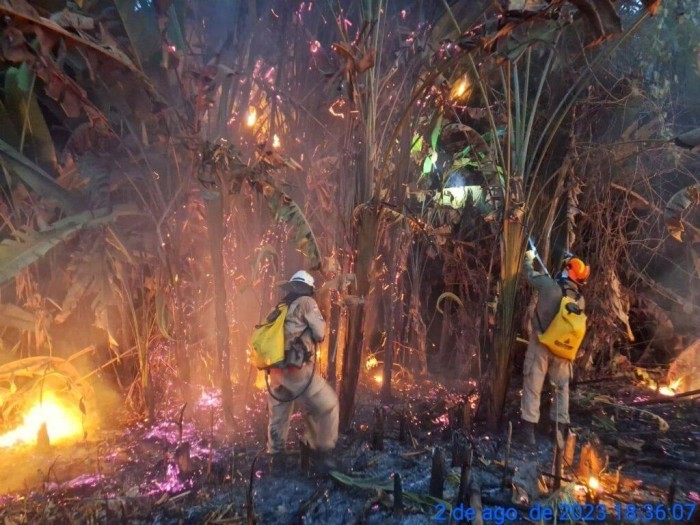 Aceiro 2023: Primeira fase da operação encerra com 154 ocorrências atendidas no sul do Amazonas