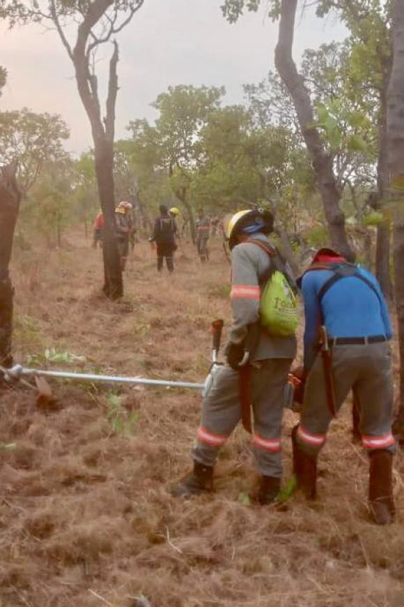 Crédito: Divulgação