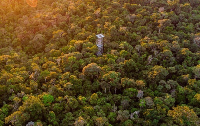 Atrações turísticas e meios de hospedagem do Amazonas recebem selo ‘Melhores dos Melhores 2023’ do TripAdvisor