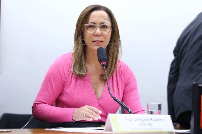 Delegada Katarina: prazo é um dos maiores entraves para acesso da vítima à Justiça - (Foto: Vinicius Loures/Câmara dos Deputados)