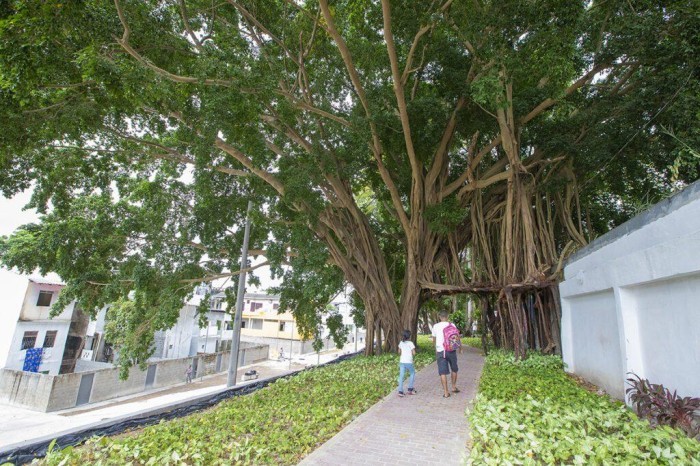 Secretário da Sedurb representa o Amazonas no Conselho das Cidades