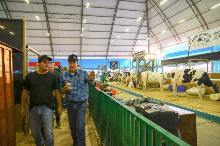 Foto: Jonathan Campos/AEN