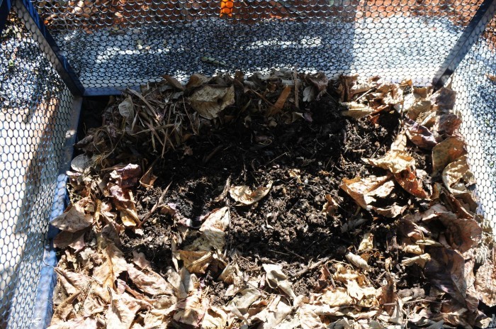 Compostagem é alternativa sustentável para tratar resíduos orgânicos