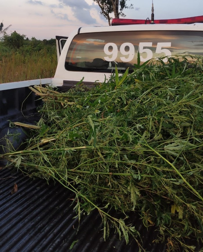 Divulgação: 2º BPR