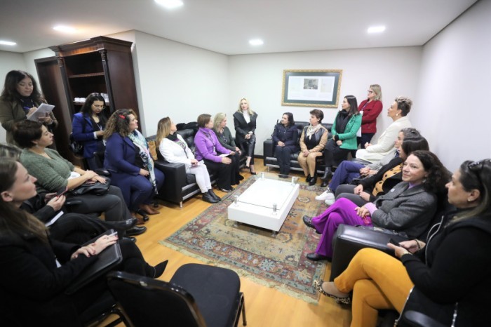Bancada Feminina da Assembleia e representantes do Judiciário discutem participação da mulher nas eleições