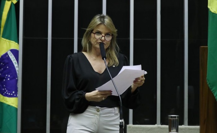 Texto aprovado é substitutivo elaborado pela relatora, Flávia Morais - (Foto: Bruno Spada/Câmara dos Deputados)