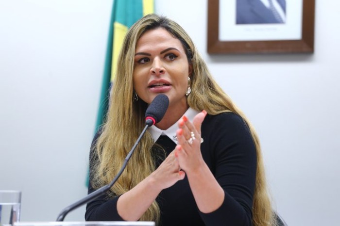 Deputada Silvye Alves, relatora da proposta - (Foto: Vinicius Loures/Câmara dos Deputados)