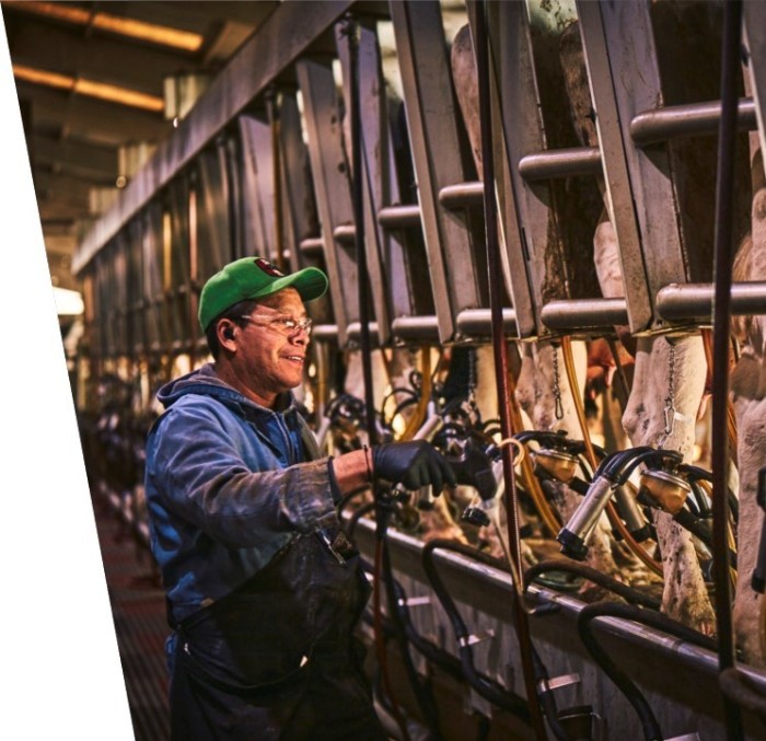 Divulgação - Elanco