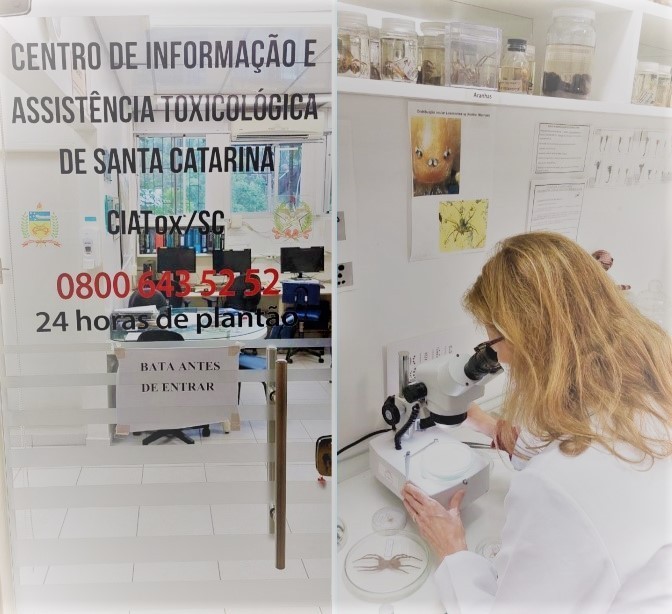 Centro de Informações Toxicológicas publica relatório anual dos casos de intoxicação e envenenamentos no estado