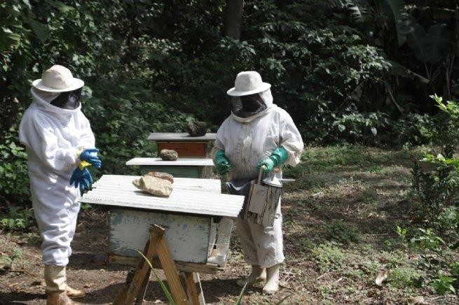 Foto: Reprodução/Prefeitura de São Sebastião - SP