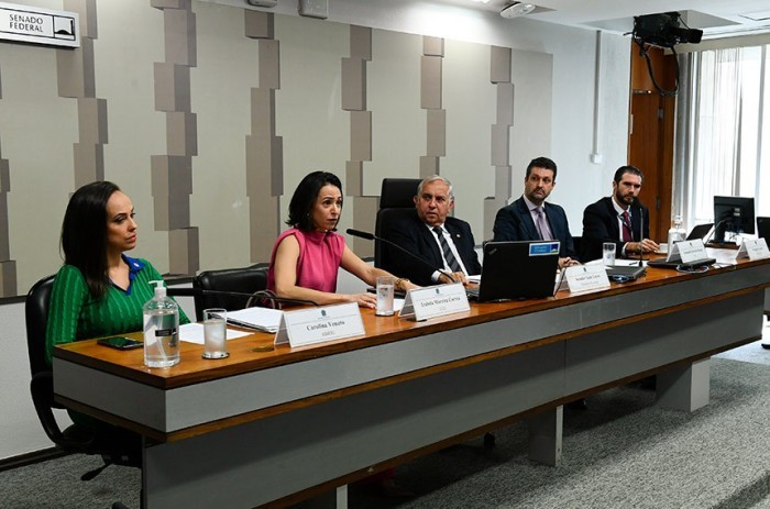 Audiência pública na CTFC foi requerida pelo relator do PL 2.914/2022, senador Izalci Lucas, que a presidiu - Foto: Roque de Sá/Agência Senado