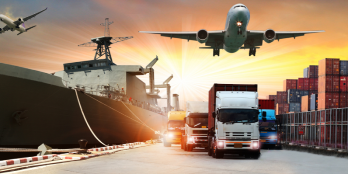 Banco de imagem/Canva