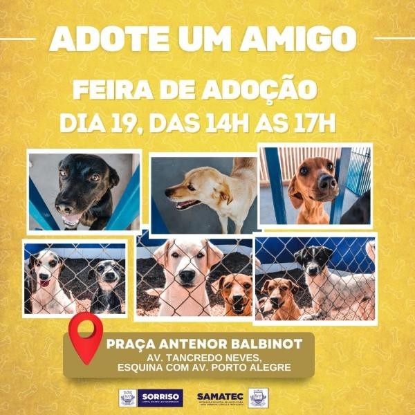 Foto: Reprodução/Prefeitura de Sorriso - MT