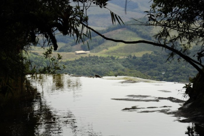 Instituto Estadual de Florestas