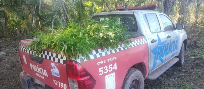 Imagem: Divulgação