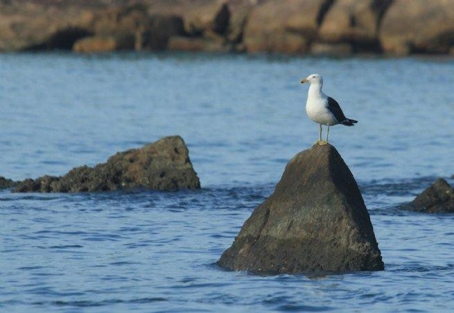 Foto: Reprodução/Prefeitura de São Sebastião - SP
