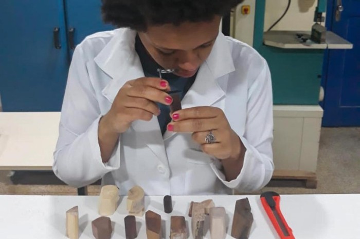 Crédito: acervo da pesquisa