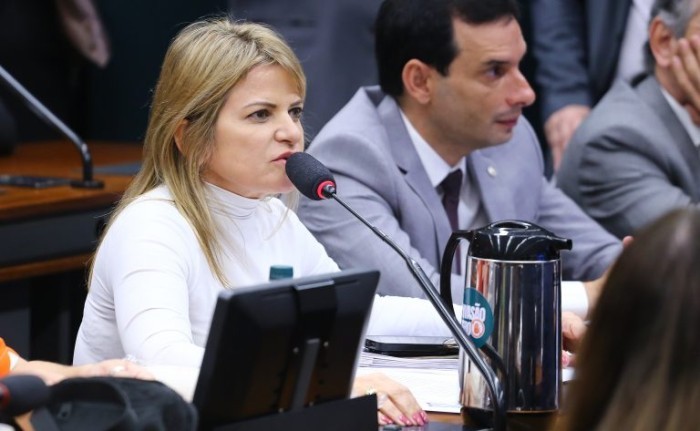 Flávia Morais lembra que tribunais reconheceram a necessidade de regulamentar o pagamento - (Foto:  Vinicius Loures/Câmara dos Deputados)