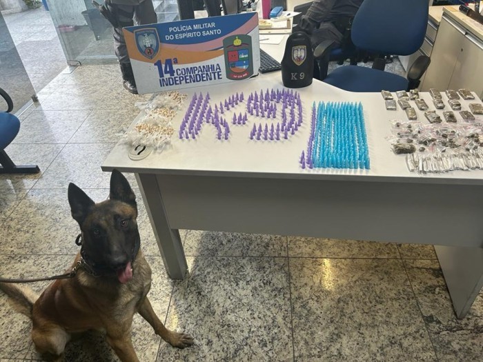 Foto: Reprodução/Polícia Militar - ES