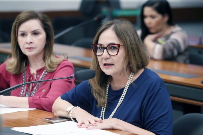 Professora Goreth defendeu a aprovação da medida - (Foto: Bruno Spada/Câmara dos Deputados)