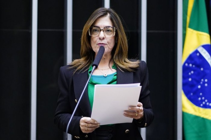 Rogéria Santos: o formulário ajudará a conhecer o comportamento do agressor  - (Foto: Pablo Valadares/Câmara dos Deputados)