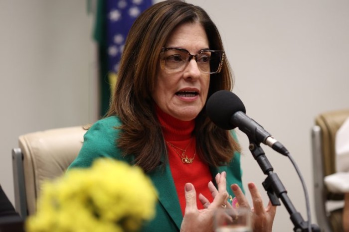 Para Rogéria Santos, empréstimos consignados também ganharão mais segurança - (Foto: MyKe Sena/Câmara dos Deputados)